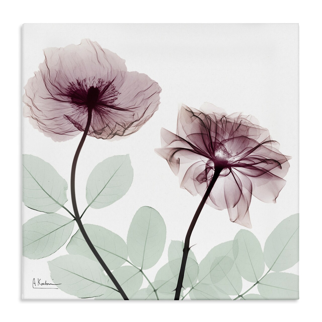 Stupell Industries Delicate Floral Bunches Canvas Design by Albert Koetsier
